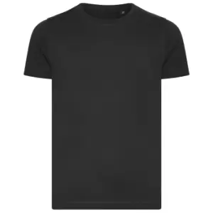 Image of Ecologie Childrens/Kids Cascades Organic T-Shirt (5-6 Years) (Charcoal)