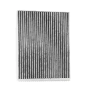 Image of RIDEX Pollen filter OPEL,FIAT,PEUGEOT 424I0041 77365764,1808012,6808623
