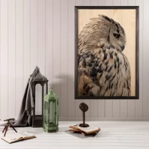 Image of Owl Multicolor Decorative Framed Wooden Painting