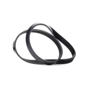 Image of RIDEX V-ribbed belt BMW 305P0360 64557793608,7793608 Serpentine belt,Auxiliary belt,Poly V-belt,Ribbed belt,Multi V-belt,Poly belt