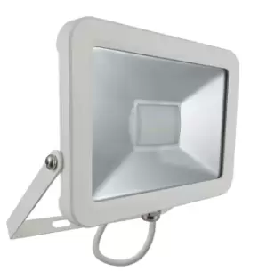 Image of Phoebe LED Floodlight 20W Atlas Cool White 110° White IP66