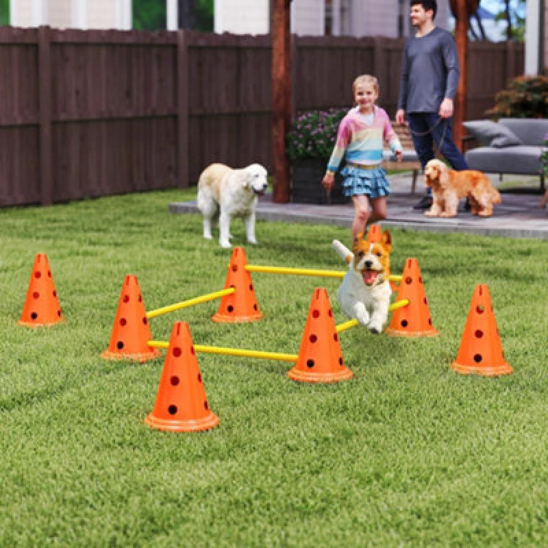 Image of PawHut Dog Agility Equipment Set, Four Piece Adjustable Height Jumping, Orange D07-059V02OG