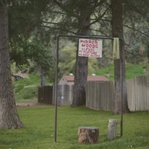 Image of Creeping Pink - Mirror Woods Vinyl