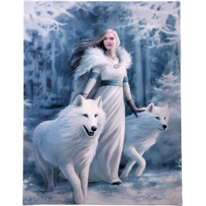 Image of Small Winter Guardian Canvas Picture by Anne Stokes