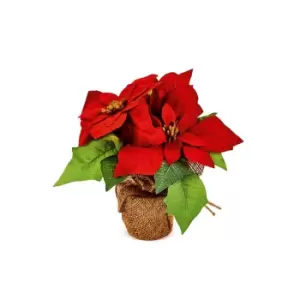 Image of Poinsettia in Hessian Pot