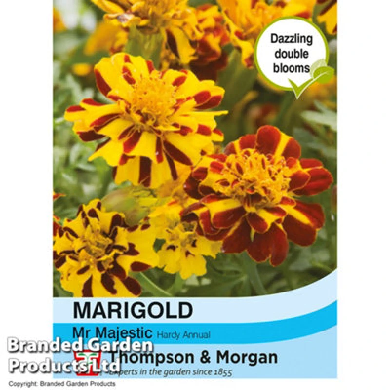 Image of Thompson & Morgan Marigold Mr Majestic 1 Seed Packet (100 Seeds)