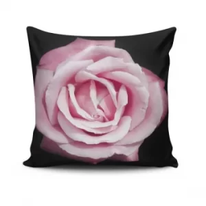 Image of NKLF-234 Multicolor Cushion Cover