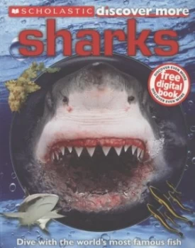 Image of Sharks by Penny Arlon Paperback