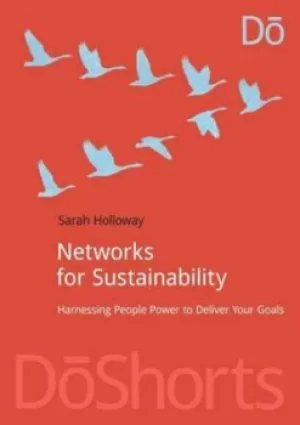 Image of Networks for sustainability by Sarah Holloway