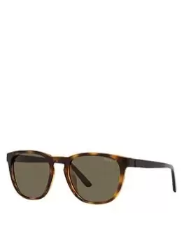 Image of Polo Ralph Lauren Polo Ralph Lauren Pillow Shiny Havana Frame Brown Lens Sunglasses, Havana, Men