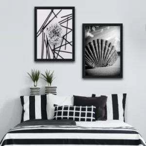 Image of Shell Dandelion Set Multicolor Decorative Framed Painting (2 Pieces)