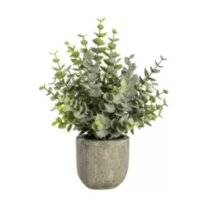 Image of Gallery Interiors Eucalyptus With Rustic Grey Pot / Large