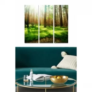 Image of MDF60822307 Multicolor Decorative MDF Painting (3 Pieces)