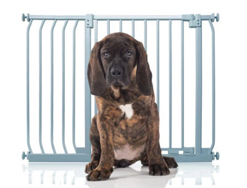 Image of Bettacare Elite Pressure Dog Gate, 98Cm -107Cm, Matt Grey, Pressure Fit Pet Gate For Dog And Puppy