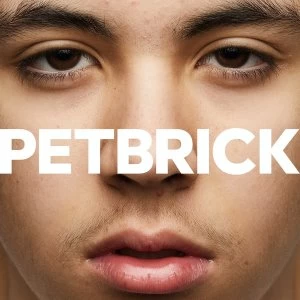 Image of Petbrick - I Vinyl