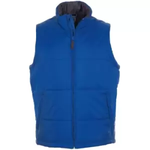Image of SOLS Warm Unisex Padded Bodywarmer Jacket (M) (Royal)