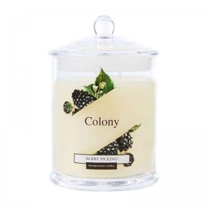 Image of Wax Lyrical Colony Berry Picking Medium Candle Jar