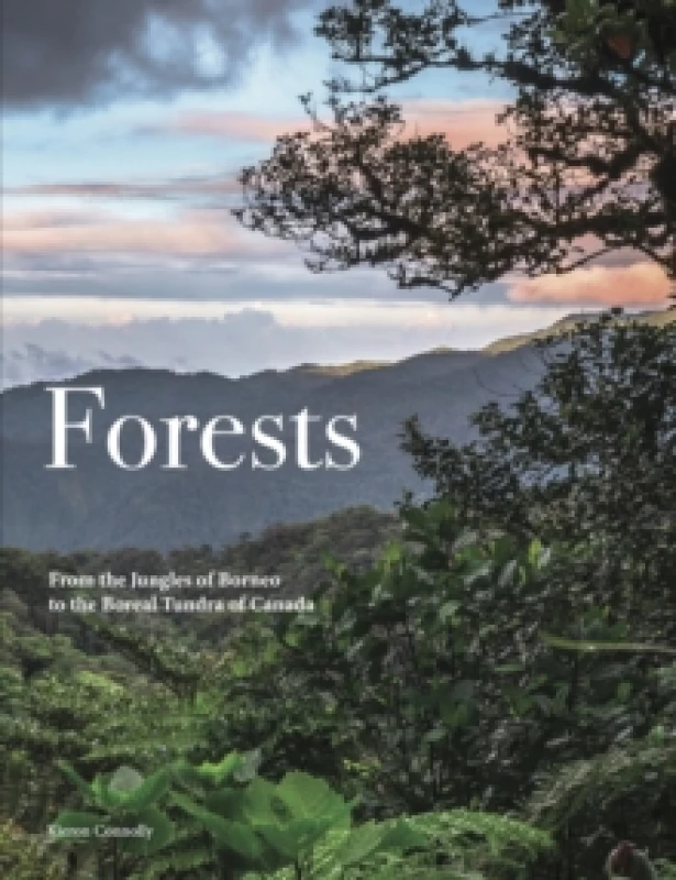 Image of Forests Hardback