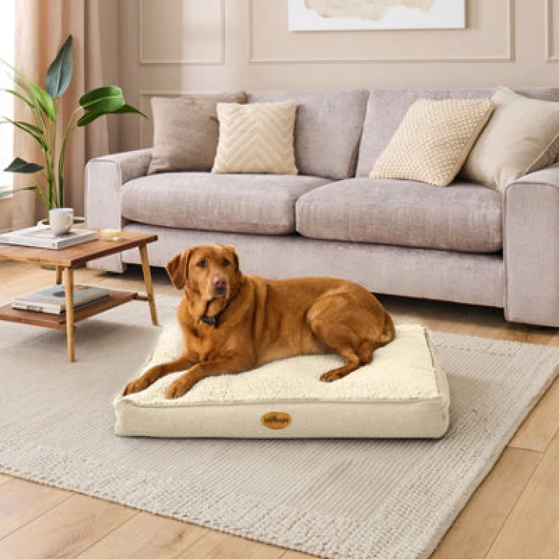 Image of Silentnight Ultrabounce Pet Bed - Large - Natural - Medium One Colour WF9ZS Unisex