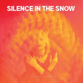 Image of Silence In The Snow - Levitation Chamber Vinyl