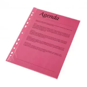 Image of Esselte Quality Punched Pocket, Transparent, Matte, Red, 55 Micron