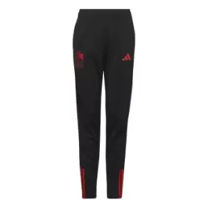 Image of 2022-2023 Belgium Training Pants (Black) - Kids