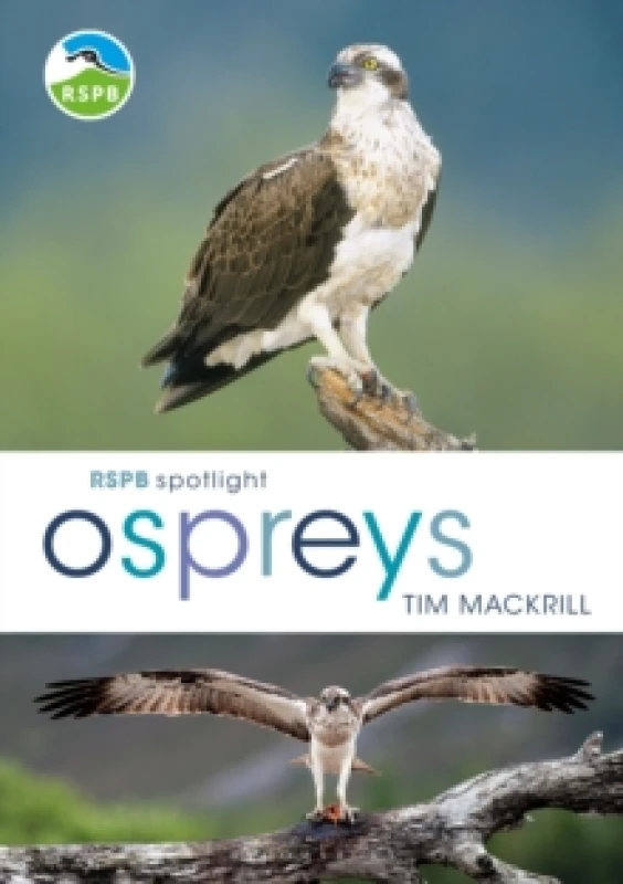 Image of RSPB Spotlight Ospreys Paperback / softback