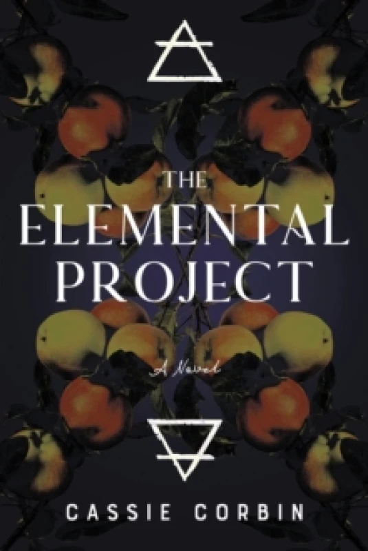 Image of The Elemental Project Paperback / softback