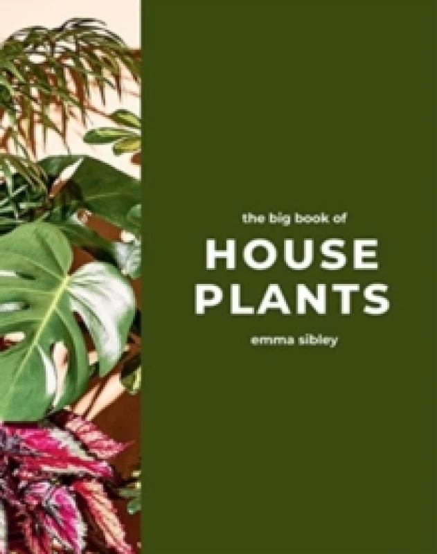 Image of The Big Book of House Plants Hardback