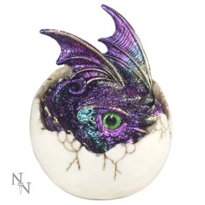 Image of Amethon Dragon Figurine