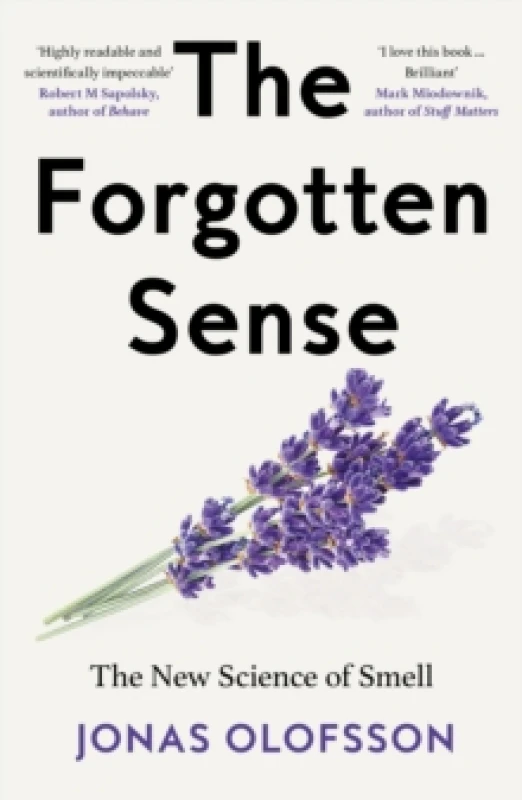 Image of The Forgotten Sense. Paperback. By Jonas Olofsson Books