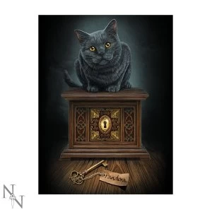 Image of Pandoras Box 3D Picture