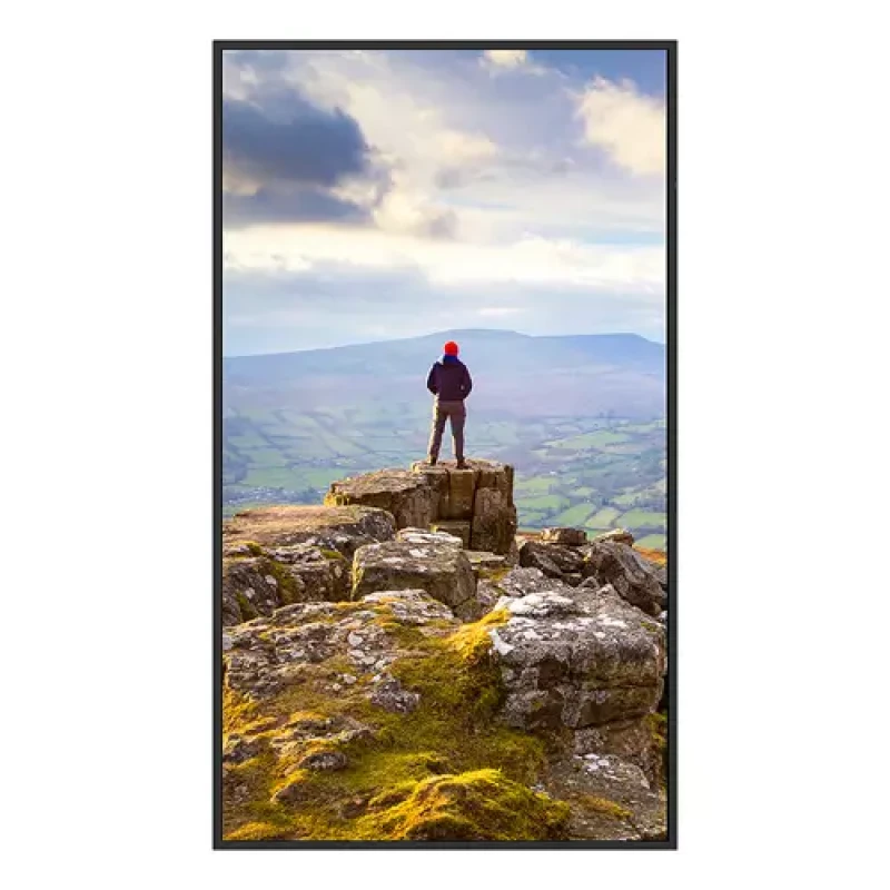 Image of Sharp PN-E439 Digital signage flat panel 109.2cm (43") LCD 350 c