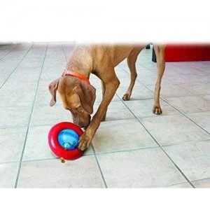 Image of KONG Gyro - Large