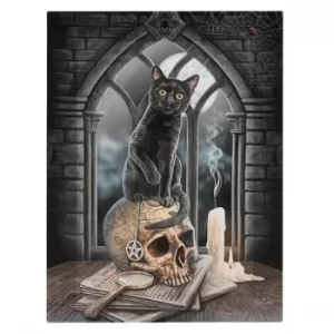 Image of 19x25 Salem Canvas Plaque by Lisa Parker