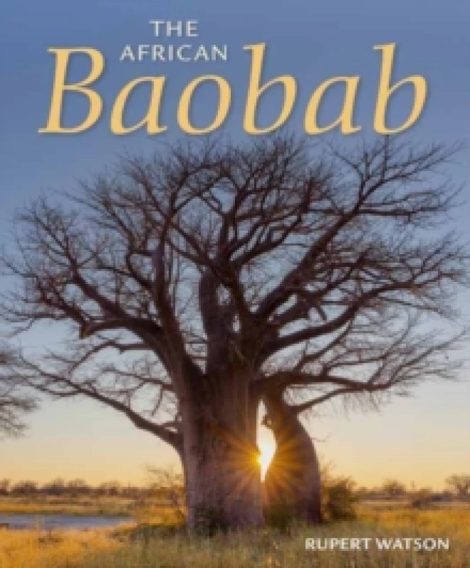 Image of The African Baobab Paperback / softback
