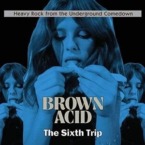 Image of Various Artists - Brown Acid: The Sixth Trip Vinyl