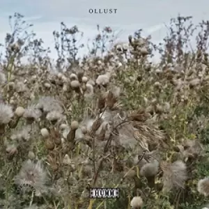 Image of Broads & Milly Hirst - Ollust Vinyl