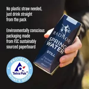 Image of Radnor Hills Spring Still Water 24x250ml Cartons NWT4445