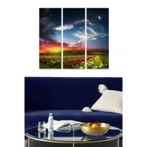 Image of MDF72417268 Multicolor Decorative MDF Painting (3 Pieces)