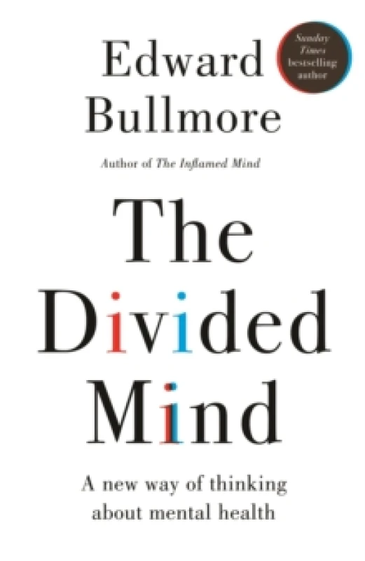 Image of The Divided Mind : A new way of thinking about mental health Hardback