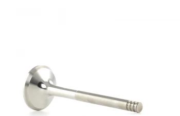 Image of FEBI BILSTEIN Exhaust Valve VW,SEAT,SKODA 21022 038109611B,038109611F,38109611B 38109611F,1100678,1147708,1M216505AA,XM216508AA,038109611B,038109611F