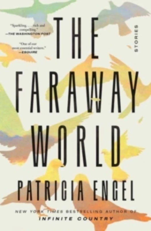 Image of The Faraway World : Stories Paperback / softback
