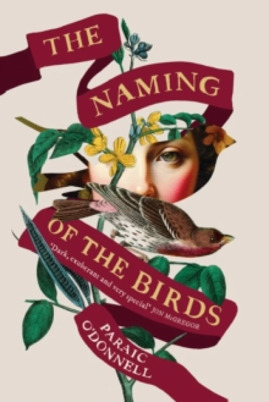 Image of The Naming of the Birds Paperback / softback