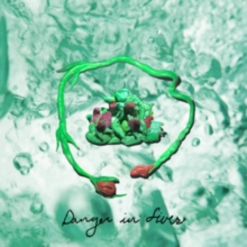 Image of Danger in fives CD / Album