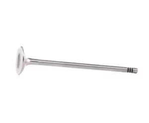 Image of MAHLE Original Exhaust Valve PEUGEOT,CITROEN,MINI 039 VA 31927 000 11347533885,7533885,753388580 0949F6