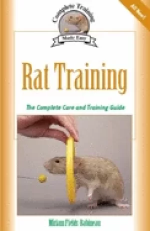 Image of rat training a comprehensive beginners guide