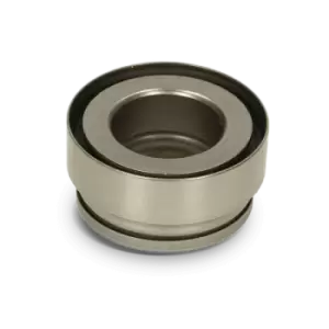 Image of NTY Intermediate Bearing, drive shaft FORD,FORD USA NLP-FR-001 1061831,1459756,1481243 1701597,6G913C073AA,97AG3C083AD,AV613C083AA,BE8Z3K093A