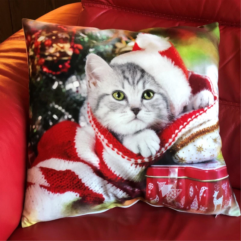 Image of Alan Symonds Cat Velvet Christmas Cushion Multicolour unisex 45x45cm