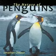 Image of nature of penguins